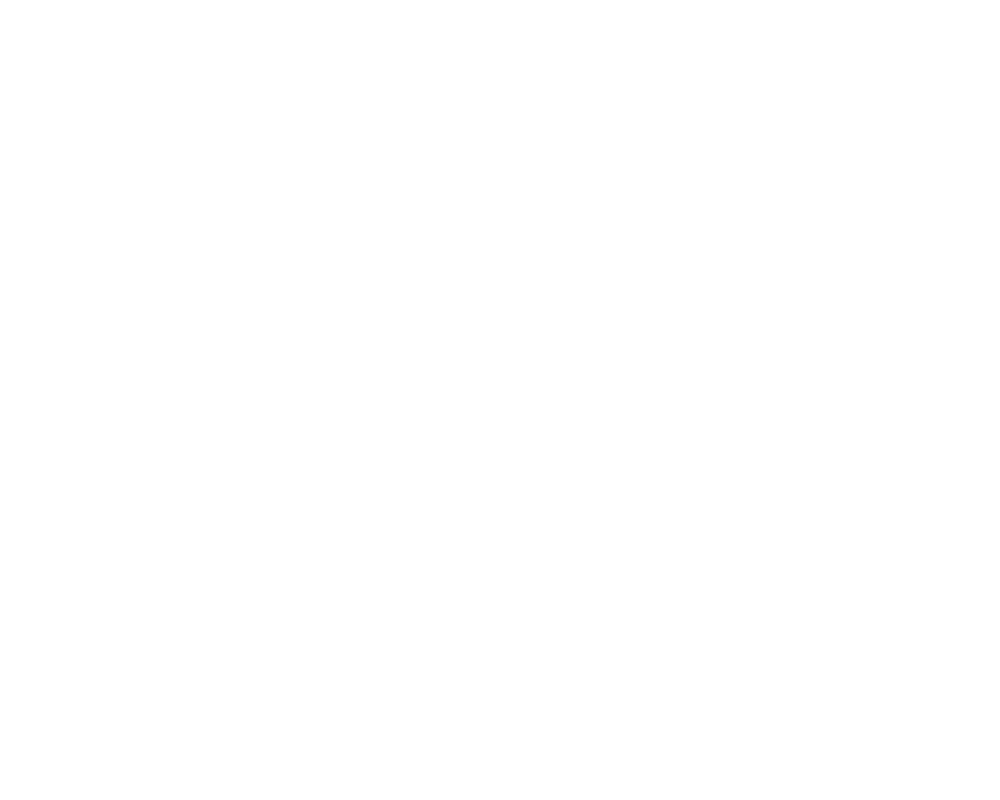 Edina Painting